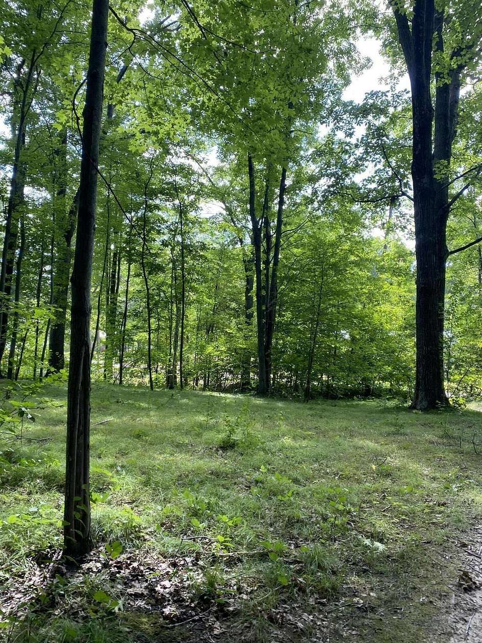 0.33 Acres of Residential Land for Sale in Lakeview, Michigan