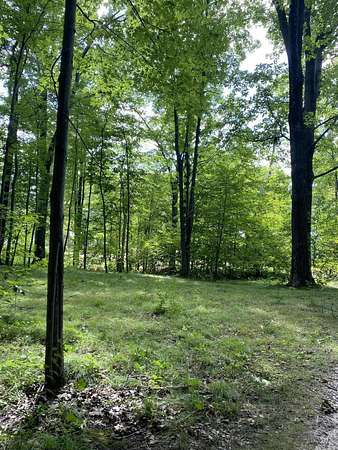 0.33 Acres of Residential Land for Sale in Lakeview, Michigan
