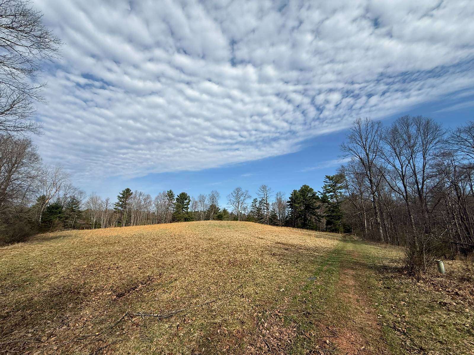 53.6 Acres of Recreational Land for Sale in St. Marys, West Virginia