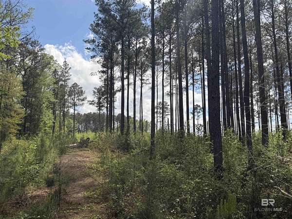 4 Acres of Residential Land for Sale in Grove Hill, Alabama