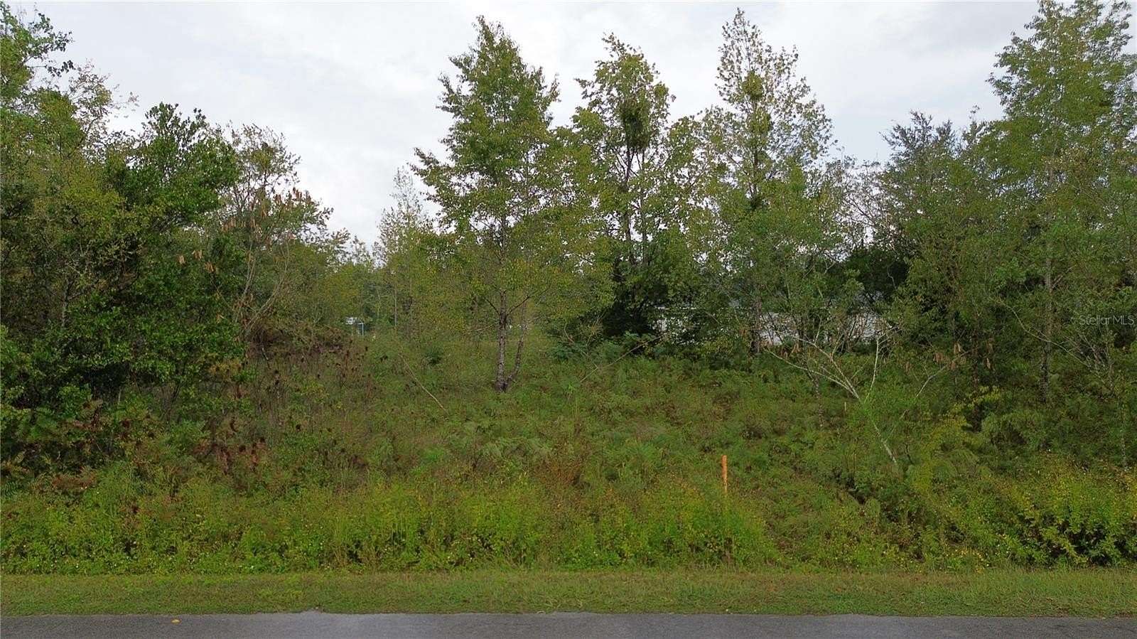 0.17 Acres of Residential Land for Sale in Ocala, Florida