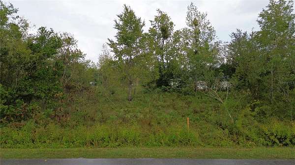 0.17 Acres of Residential Land for Sale in Ocala, Florida