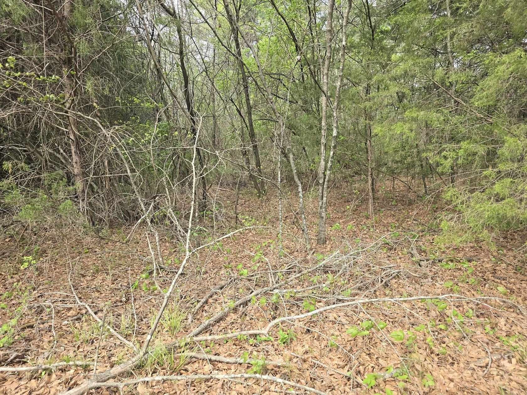 0.92 Acres of Residential Land for Sale in Cherokee, Alabama
