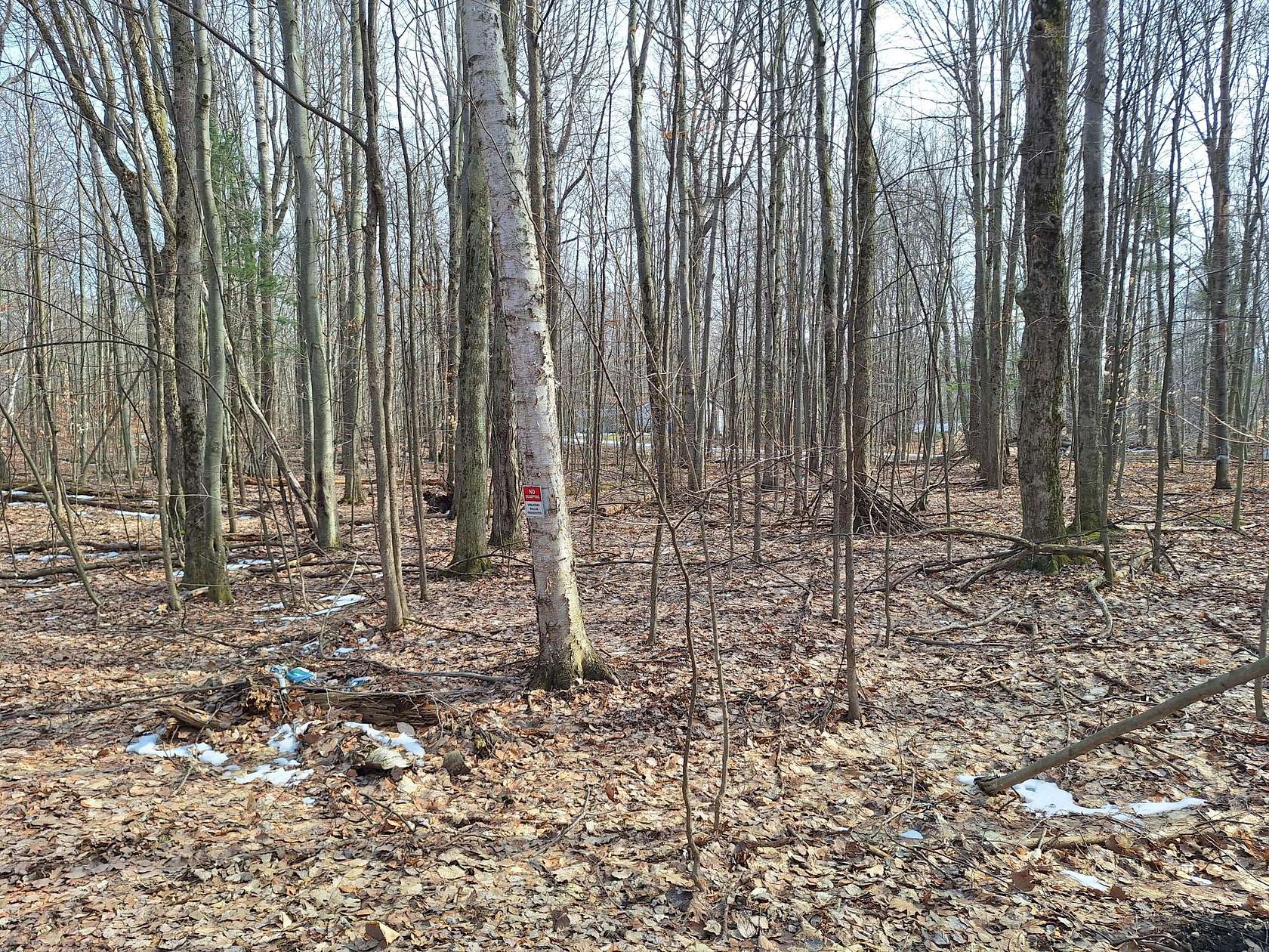 0.28 Acres of Residential Land for Sale in Ludington, Michigan