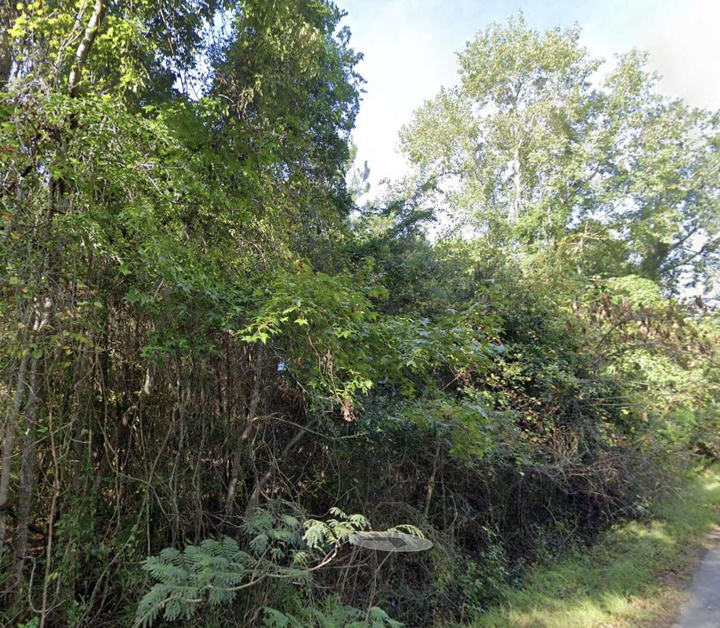 1 Acre of Land for Sale in McClellanville, South Carolina