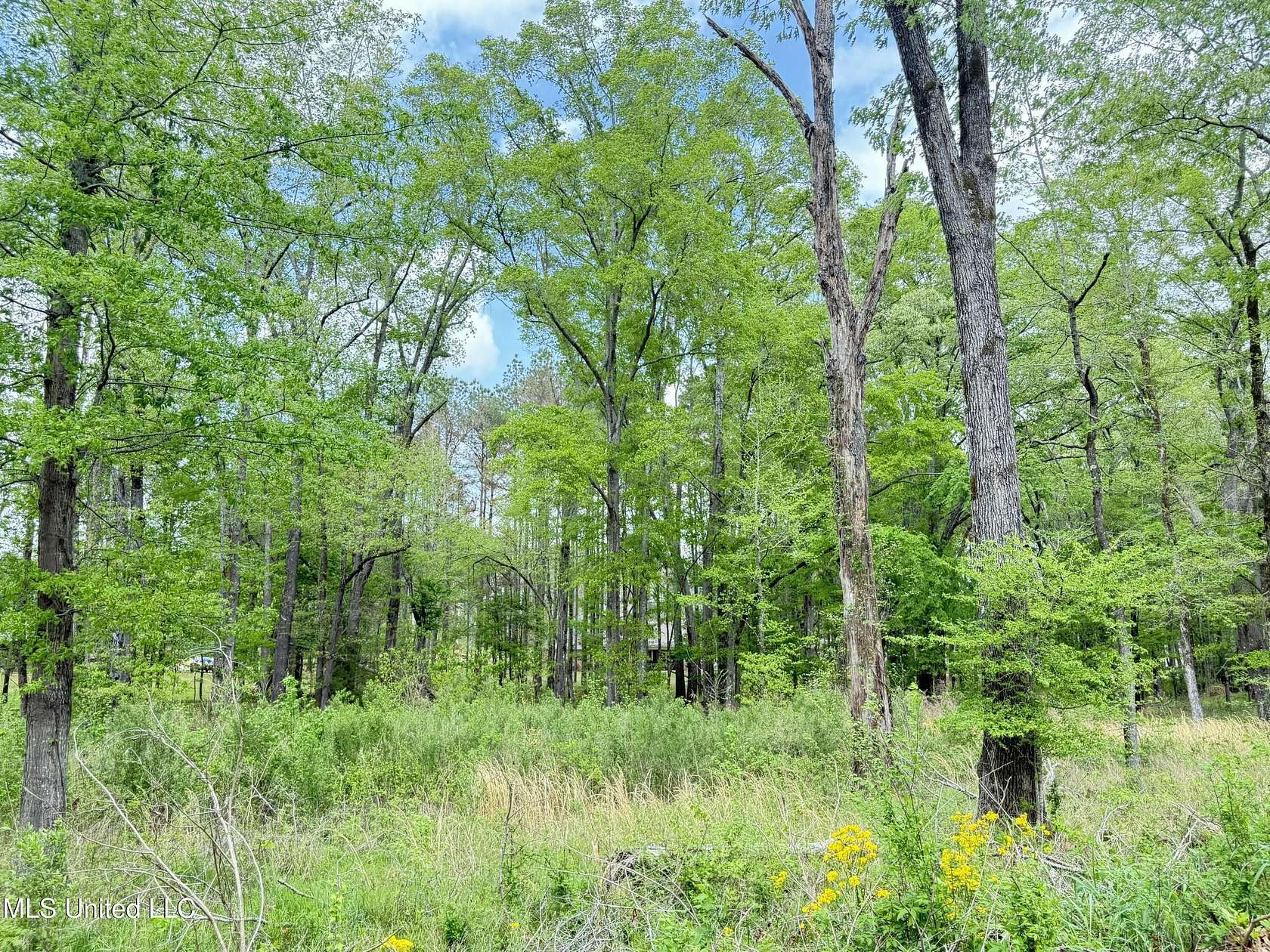 1.58 Acres of Residential Land for Sale in Clinton, Mississippi