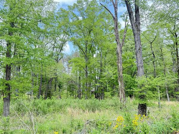 1.58 Acres of Residential Land for Sale in Clinton, Mississippi