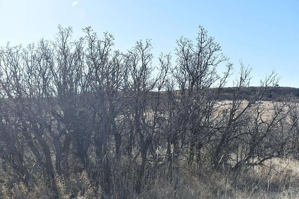 0.5 Acres of Residential Land for Sale in Colorado City, Colorado