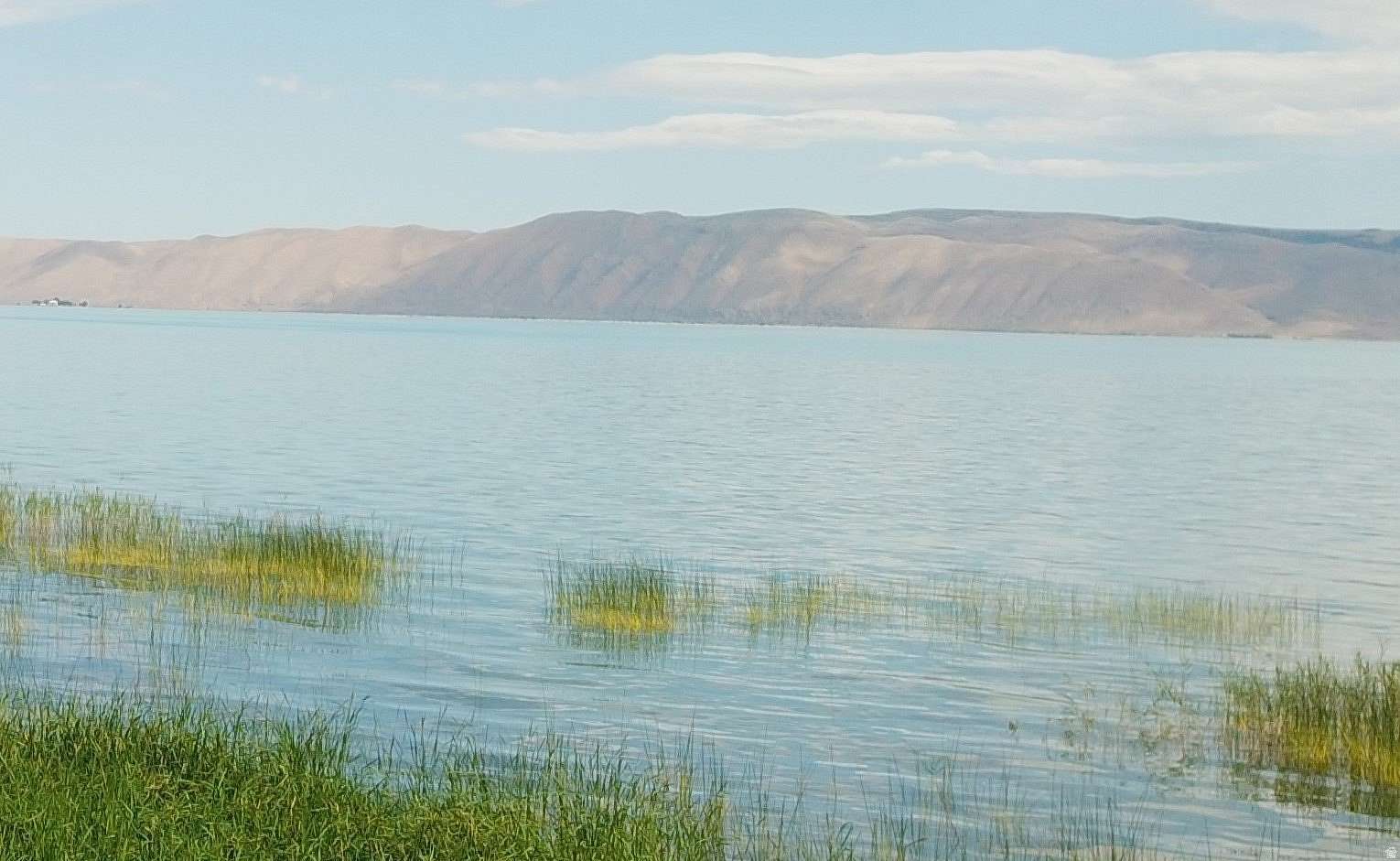 1.4 Acres of Residential Land for Sale in Fish Haven, Idaho