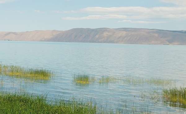 1.4 Acres of Residential Land for Sale in Fish Haven, Idaho