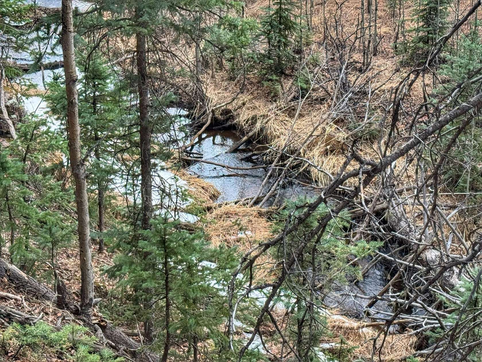 0.56 Acres of Land for Sale in Rye, Colorado