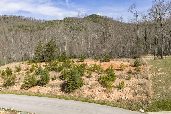 0.72 Acres of Residential Land for Sale in Unicoi, Tennessee