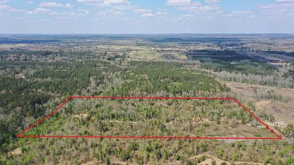 17.5 Acres of Recreational Land for Sale in Linden, Texas