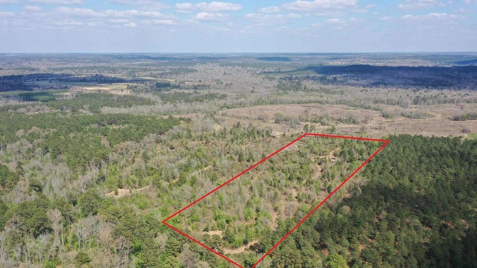 17.5 Acres of Recreational Land for Sale in Hughes Springs, Texas