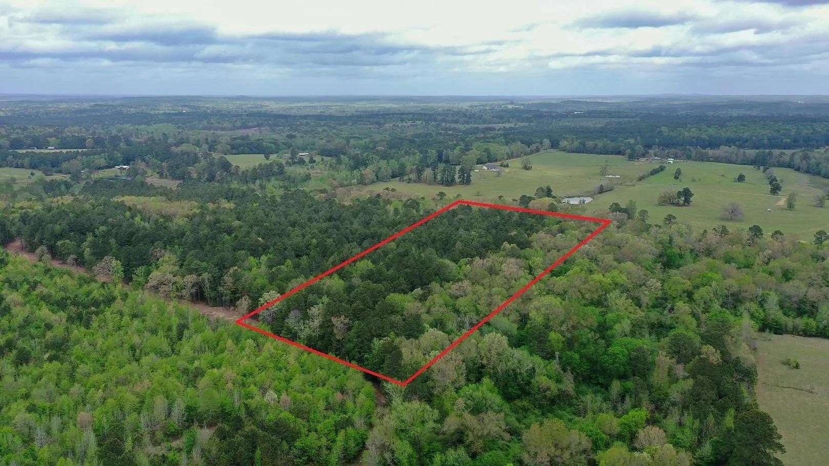 11.8 Acres of Recreational & Residential Land for Sale in Linden, Texas