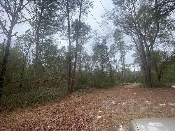 1.25 Acres of Residential Land for Sale in Dunnellon, Florida
