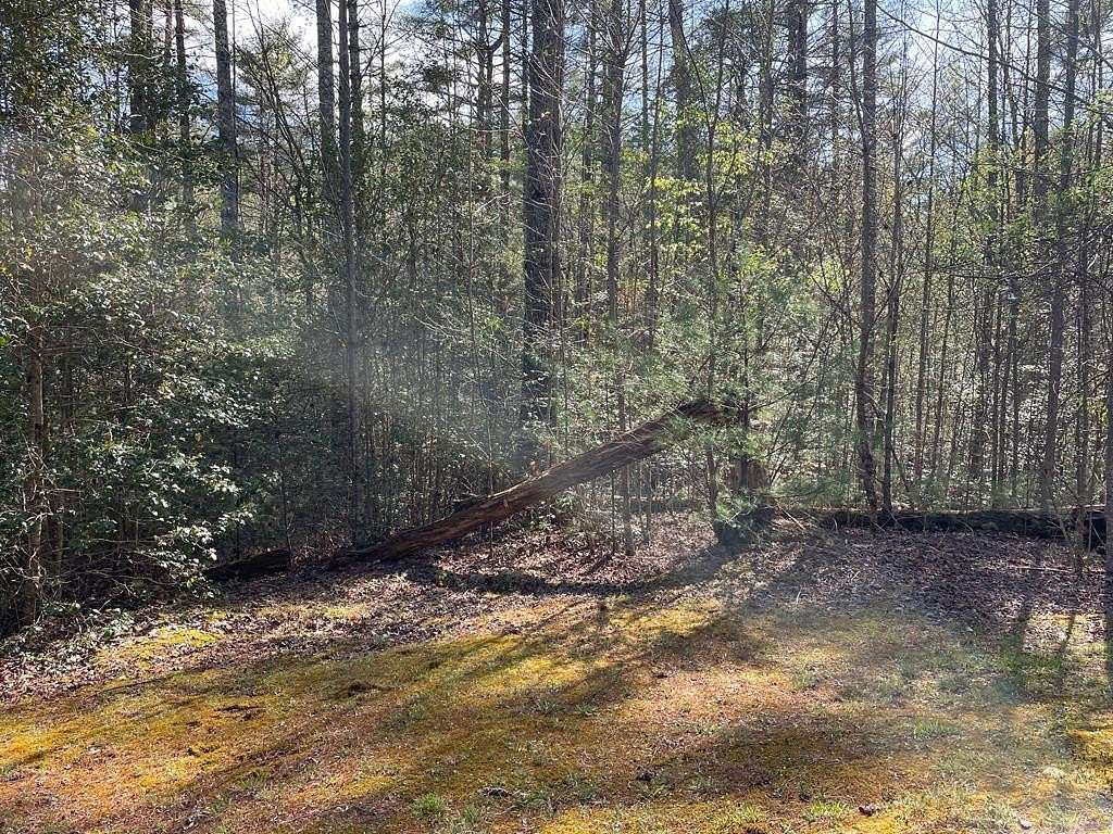 1.34 Acres of Residential Land for Sale in Hayesville, North Carolina