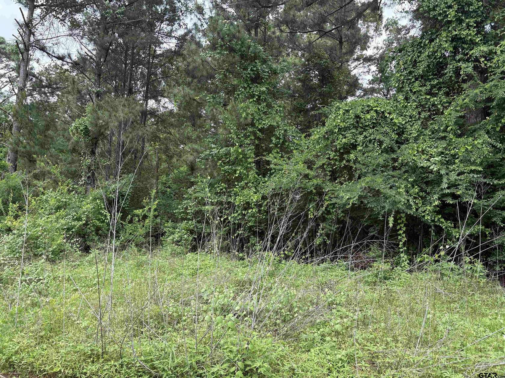 Residential Land for Sale in Bullard, Texas