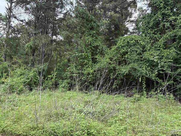 Residential Land for Sale in Bullard, Texas