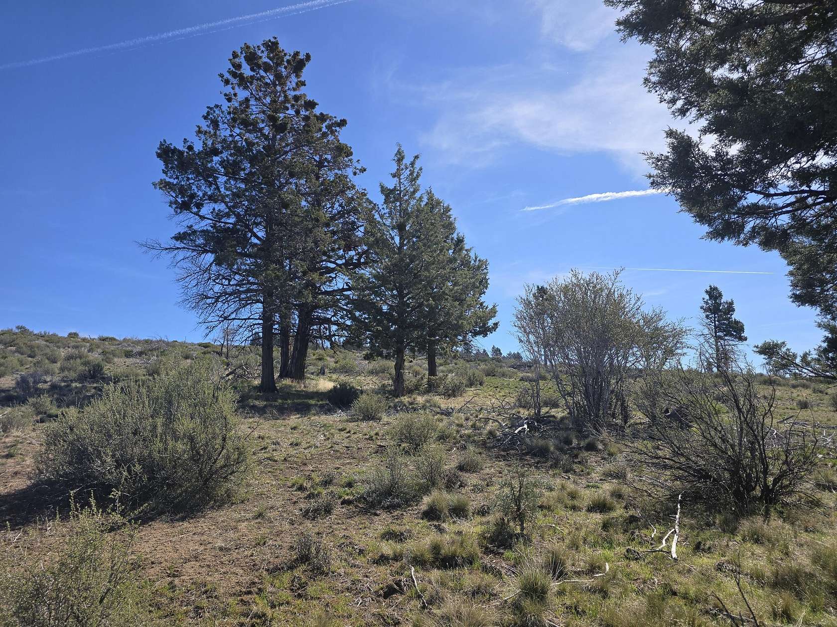 40 Acres of Recreational Land for Sale in Chiloquin, Oregon