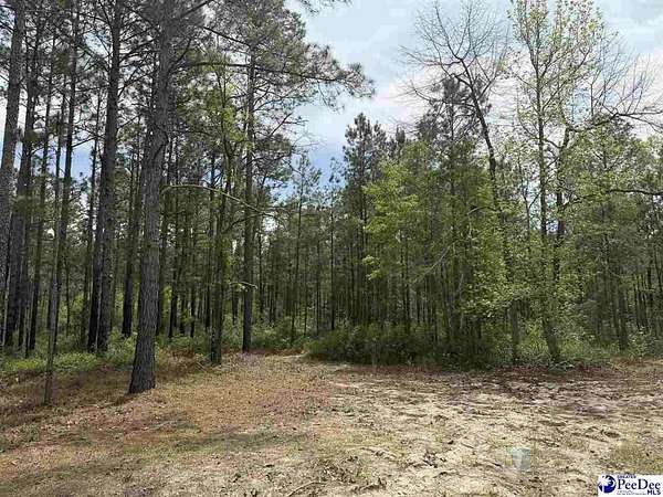 9.26 Acres of Land for Sale in Dillon, South Carolina