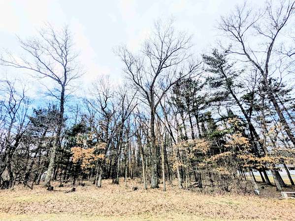 1.5 Acres of Residential Land for Sale in Friendship, Wisconsin