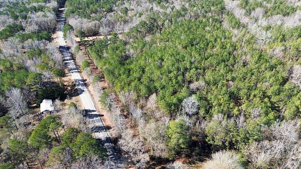 9 Acres of Residential Land for Sale in Vernon, Alabama