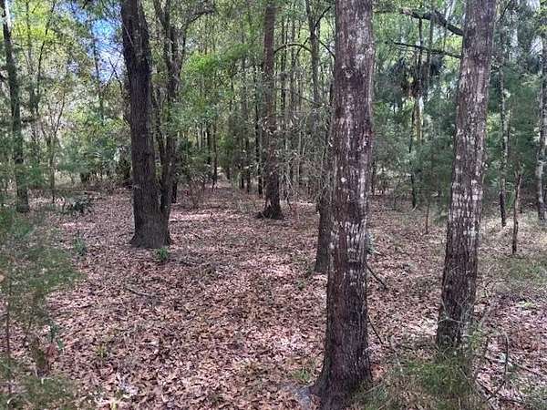 1.77 Acres of Residential Land for Sale in Chiefland, Florida