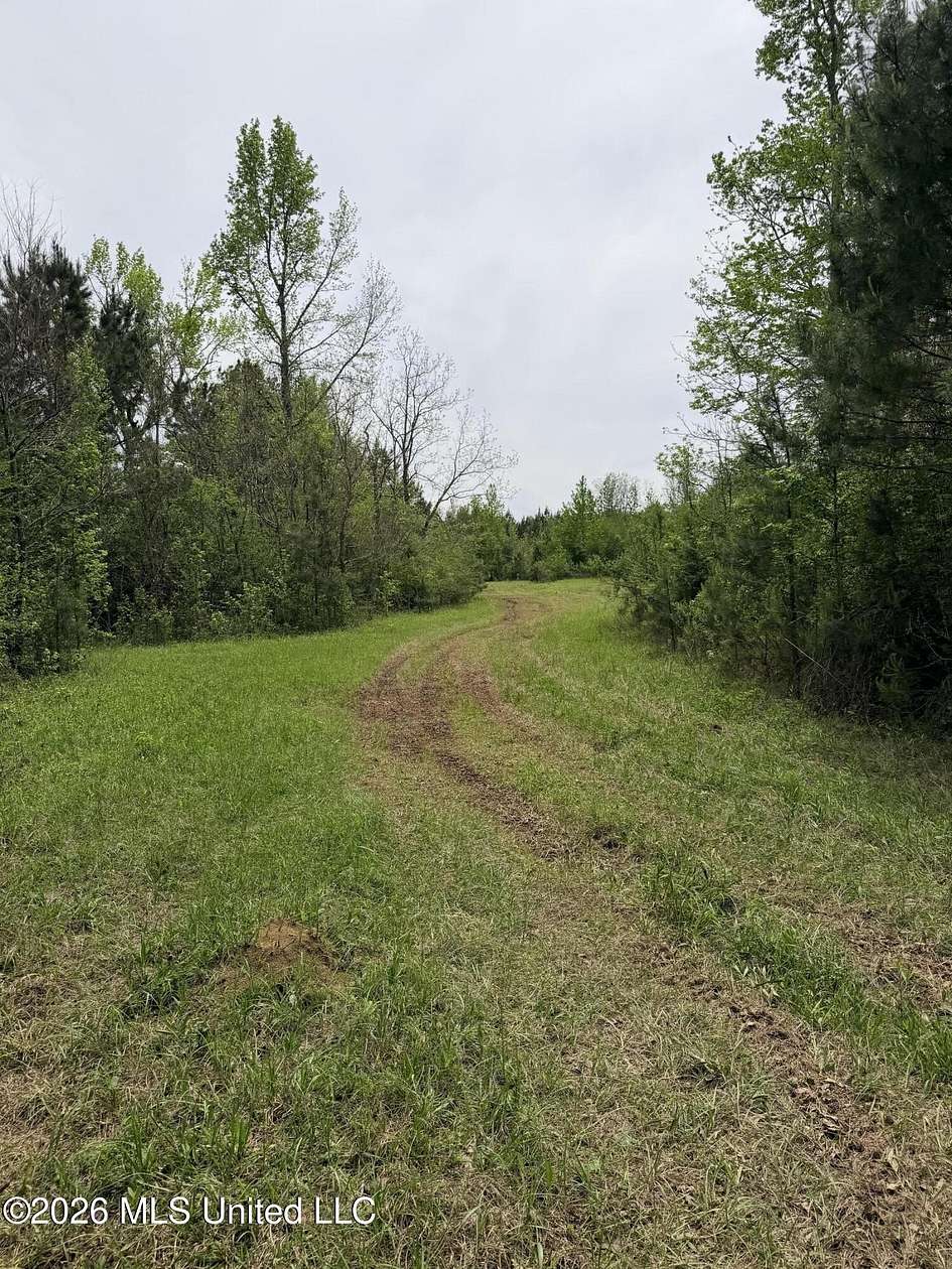 201 Acres of Recreational & Residential Land for Sale in Smithdale, Mississippi