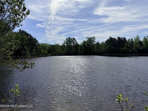 201 Acres of Recreational & Residential Land for Sale in Smithdale, Mississippi