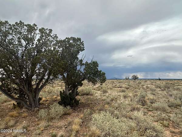 1 Acre of Land for Sale in Williams, Arizona