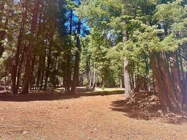 0.44 Acres of Residential Land for Sale in Lake Almanor Country Club, California
