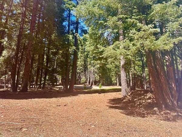0.44 Acres of Residential Land for Sale in Lake Almanor Country Club, California