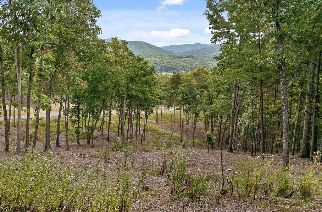 0.87 Acres of Residential Land for Sale in Morganton, Georgia