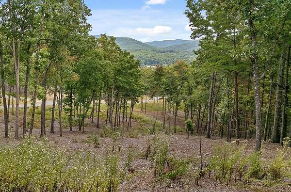 0.87 Acres of Residential Land for Sale in Morganton, Georgia
