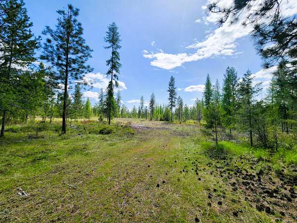 69.3 Acres of Recreational & Residential Land for Sale in Valley, Washington