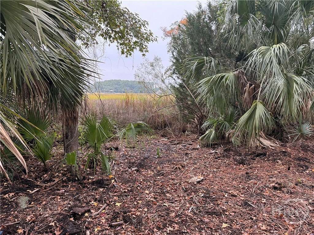 0.23 Acres of Residential Land for Sale in Savannah, Georgia