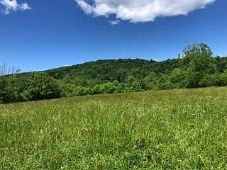 14 Acres of Land with Home for Sale in Decatur, Tennessee