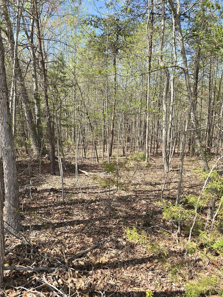4.46 Acres of Residential Land for Sale in Huddleston, Virginia