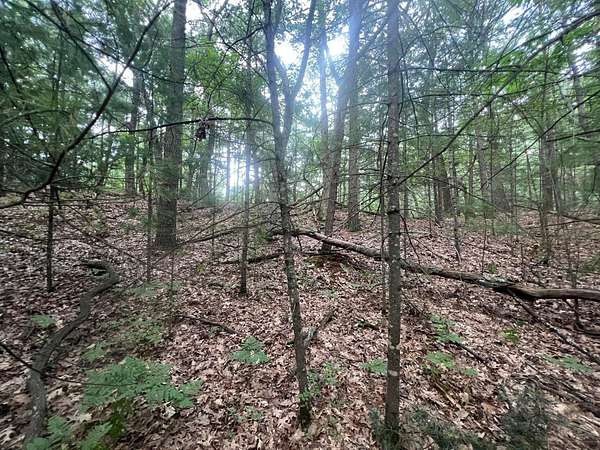 0.81 Acres of Residential Land for Sale in Pentwater, Michigan