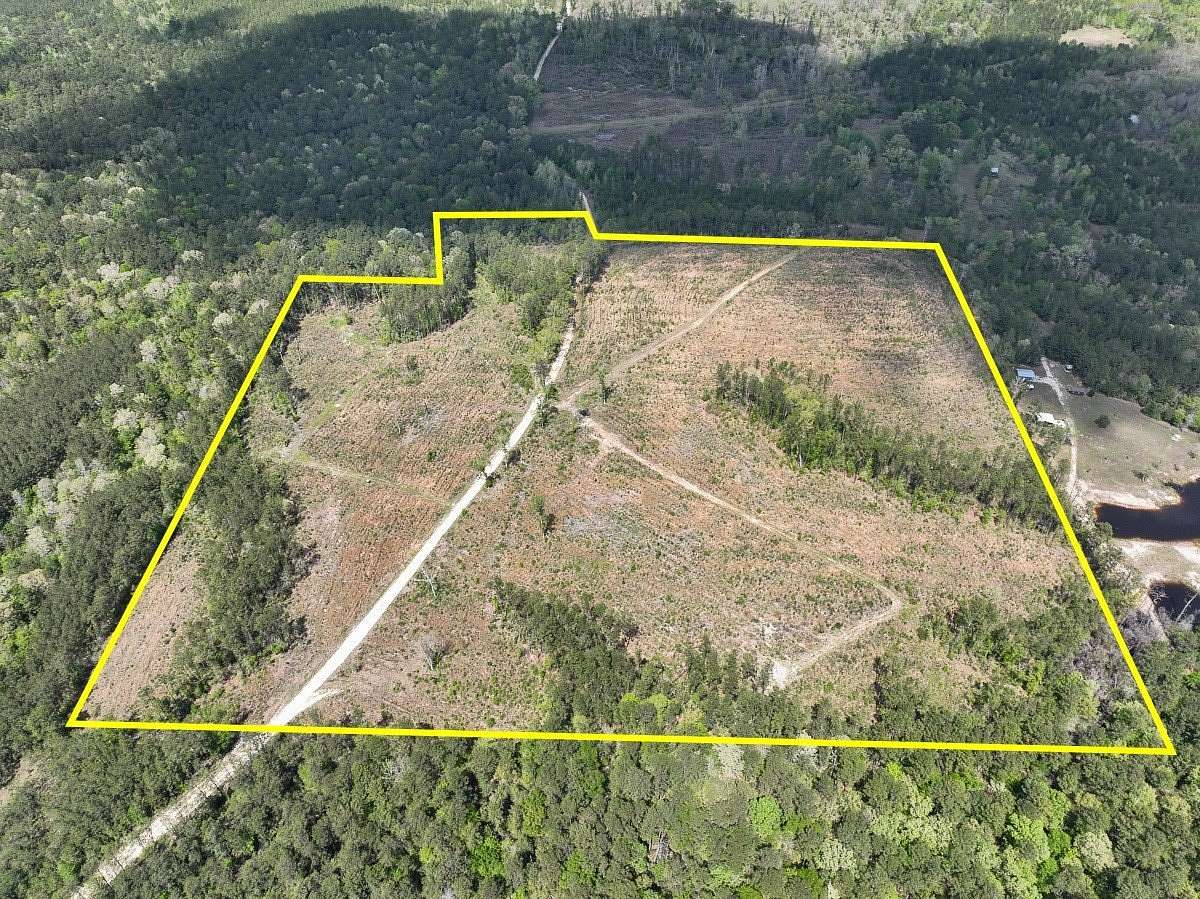 46 Acres of Land for Sale in Colmesneil, Texas