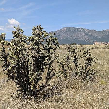 5 Acres of Residential Land for Sale in Stanley, New Mexico