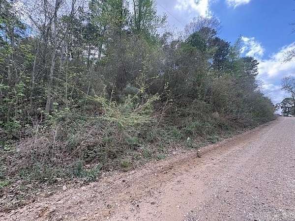 24.7 Acres of Land for Sale in Nashville, Arkansas