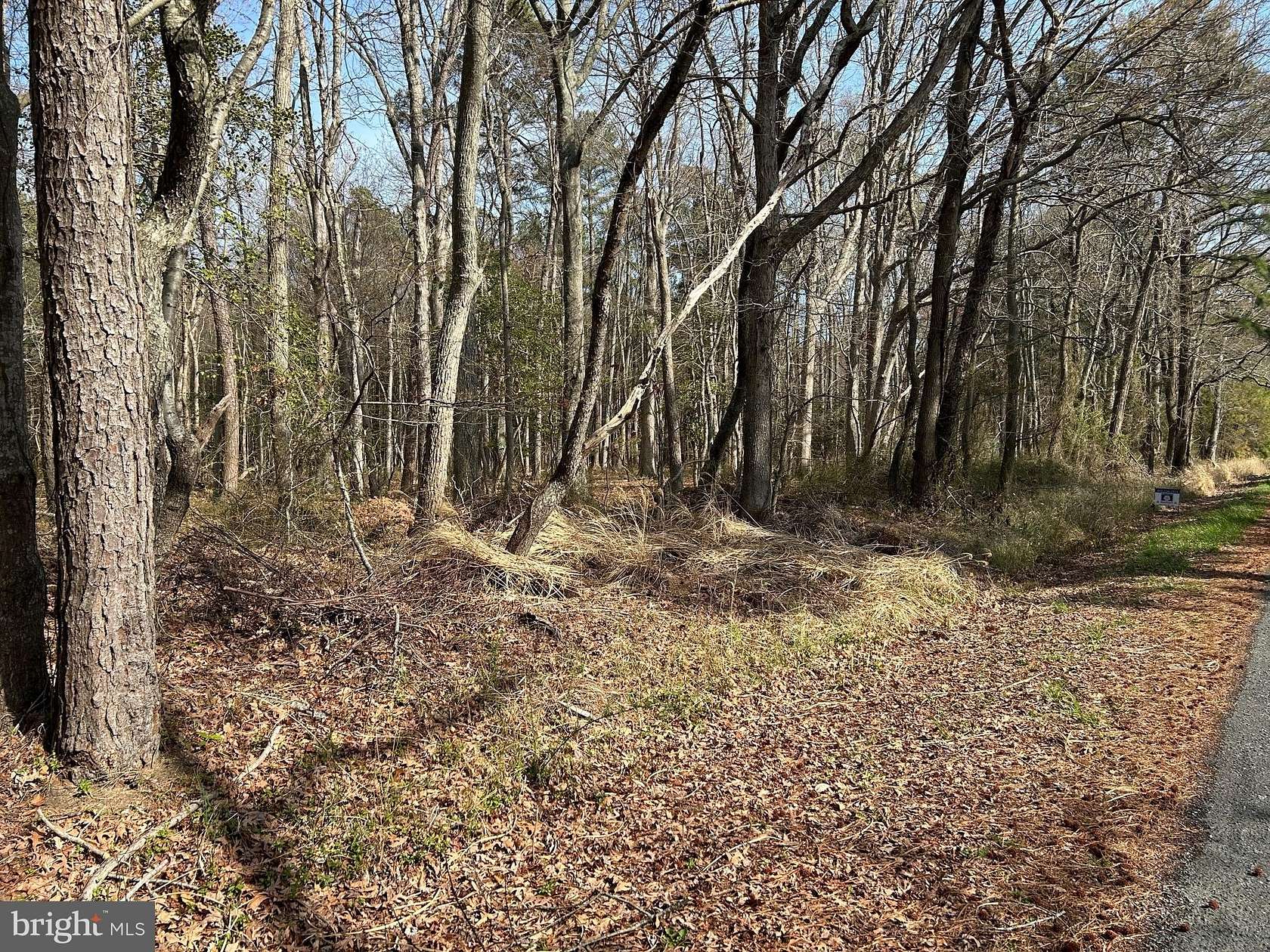 1 Acre of Mixed-Use Land for Sale in Taylors Island, Maryland