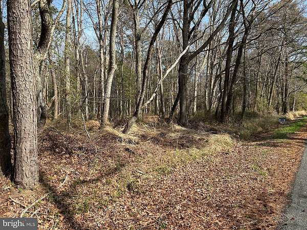 1 Acre of Mixed-Use Land for Sale in Taylors Island, Maryland