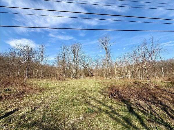 16.7 Acres of Recreational & Residential Land for Sale in Conneaut, Ohio