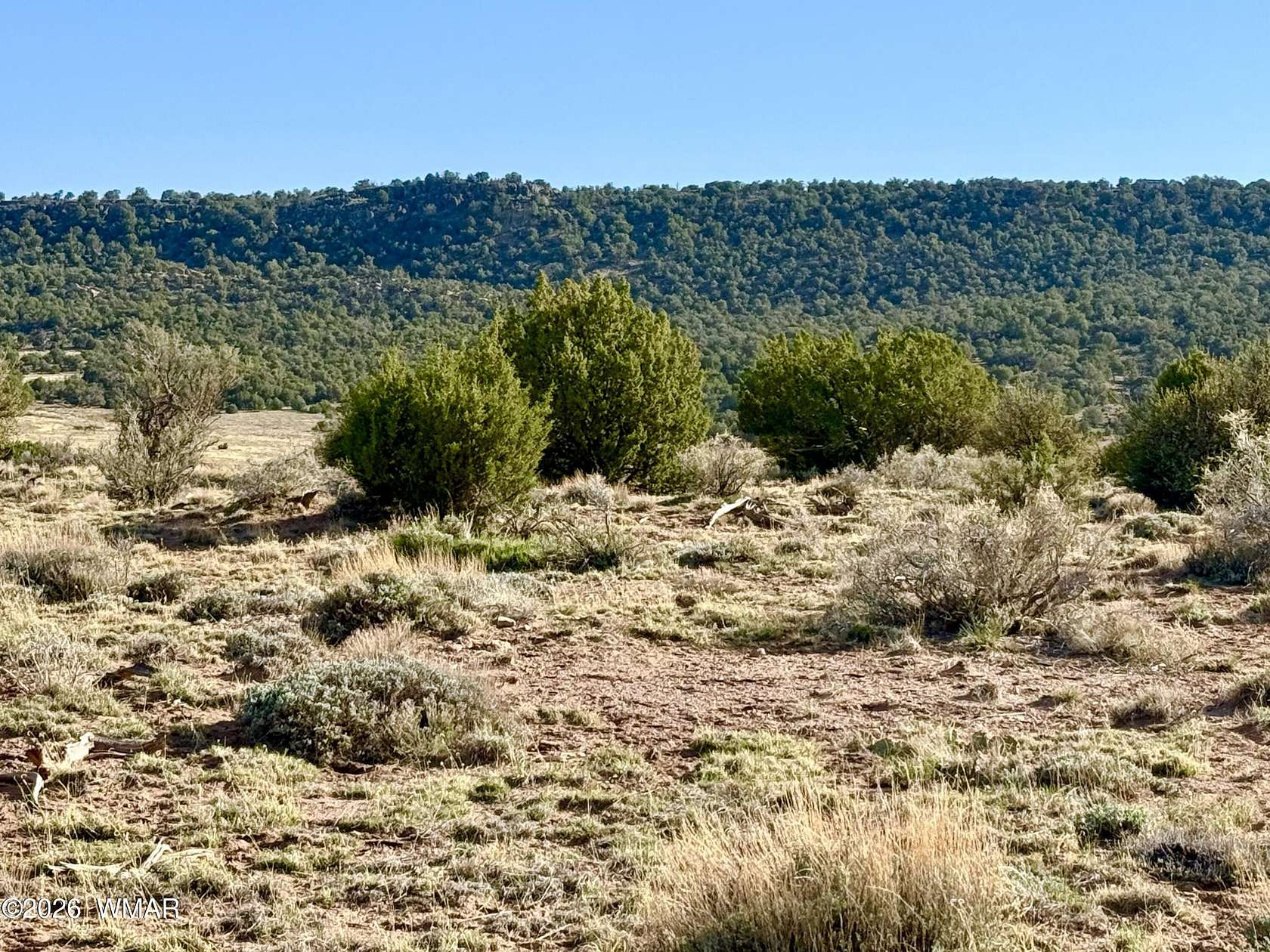 40.2 Acres of Recreational & Residential Land for Sale in Concho, Arizona