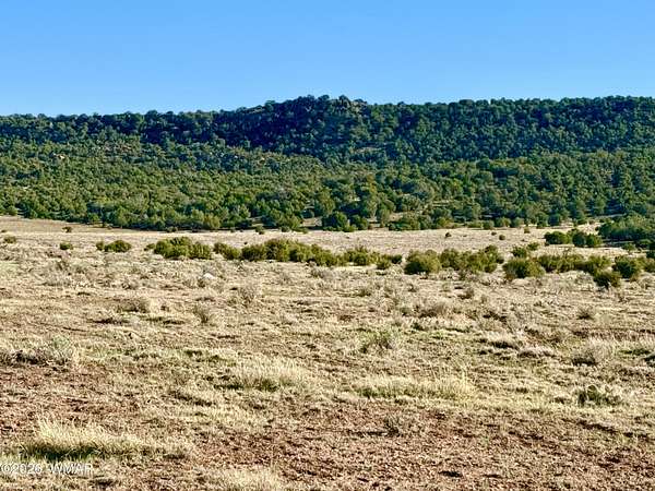 40.2 Acres of Recreational & Residential Land for Sale in Concho, Arizona