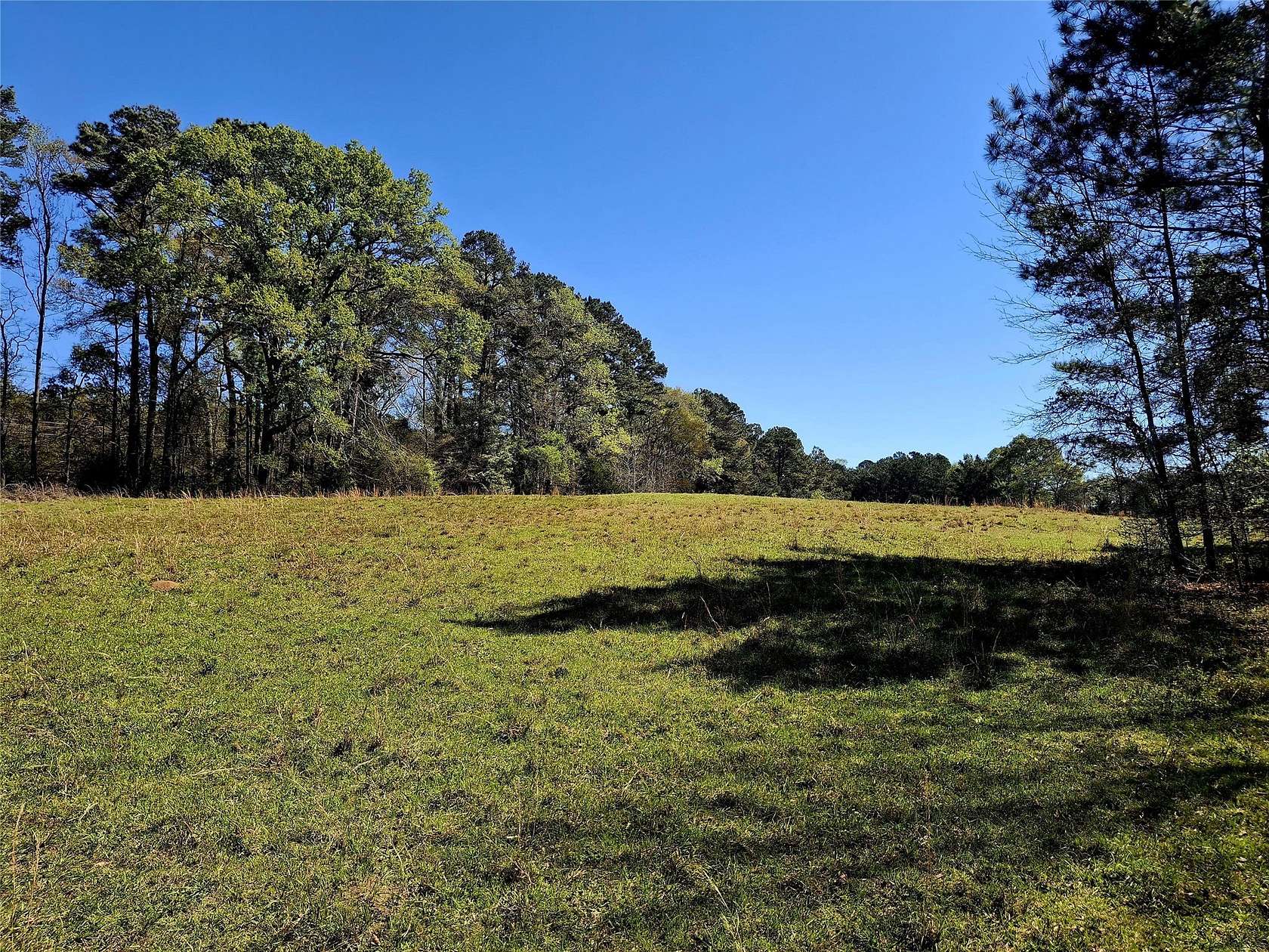 68.8 Acres of Land with Home for Sale in Jacksonville, Texas