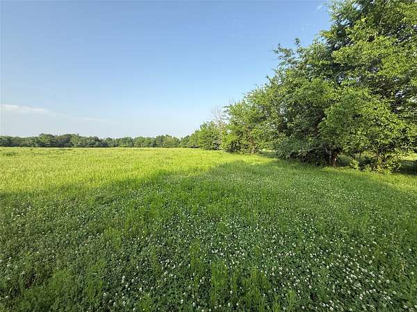 10 Acres of Land for Sale in Saltillo, Texas